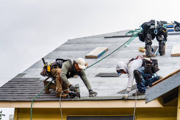 Professional Roofing technician working in Adrian, MO